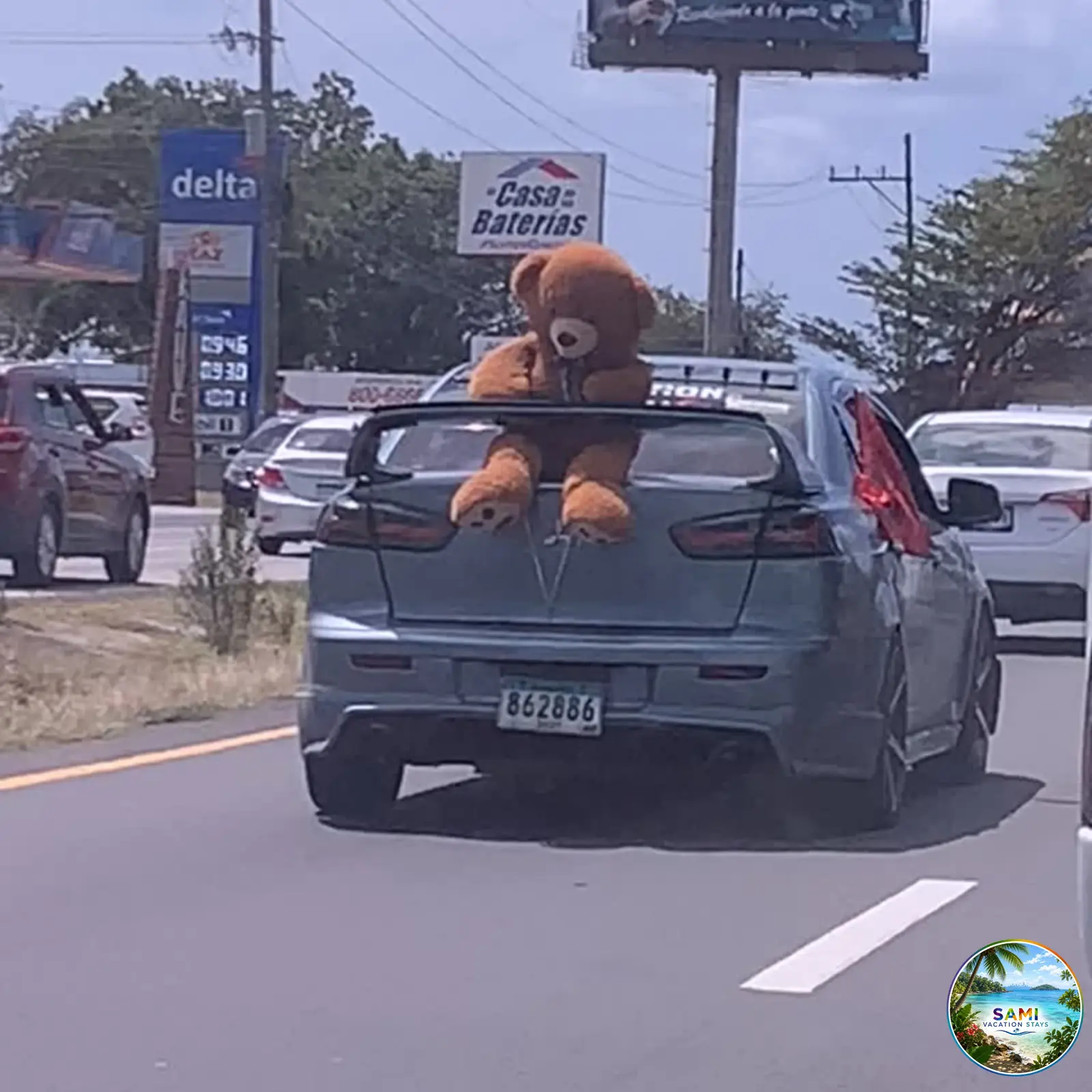 Car carrying a giant teddy bear on a Panama road